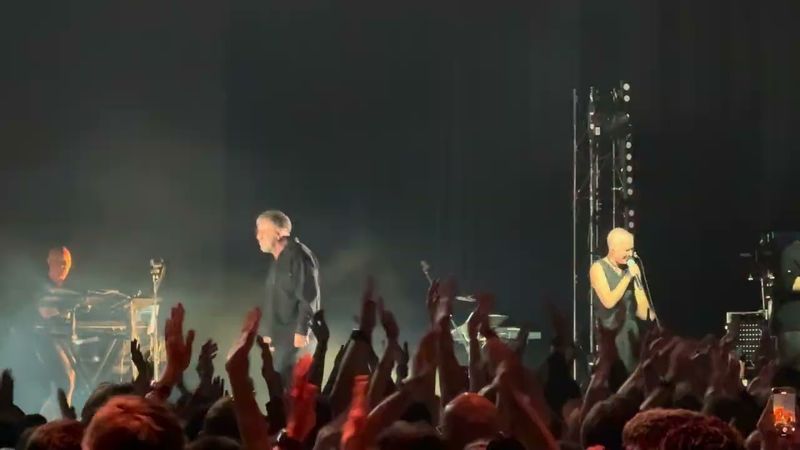 ДДТ, Волки в тире, 02.05.2025!