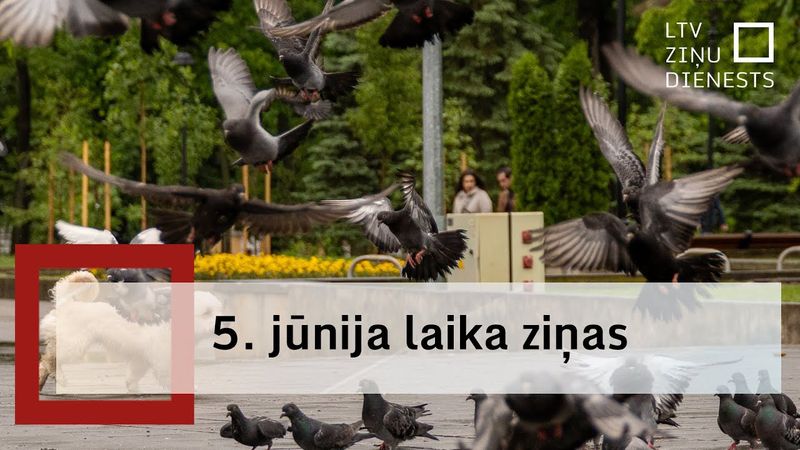 Šodien daudzviet Latvijā līs, bet vietām gaidāms stiprs lietus