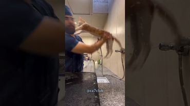 no need to yell bro 😭