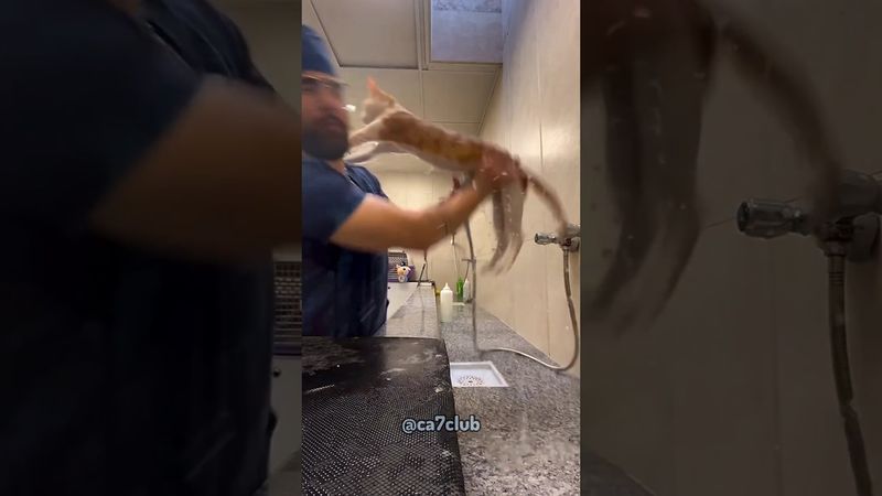 no need to yell bro 😭