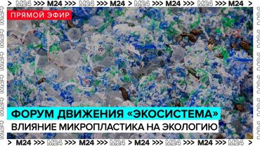 Дискуссию о влиянии микропластика на экологию | Прямой эфир - Москва 24