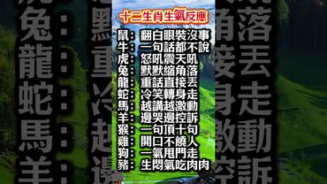 【十二生肖生氣反應】#生肖 #財運  #風水 #命理