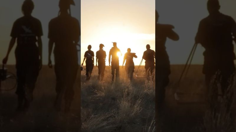 Подписывайся на поисковиков! Ссылки в шапке профиля