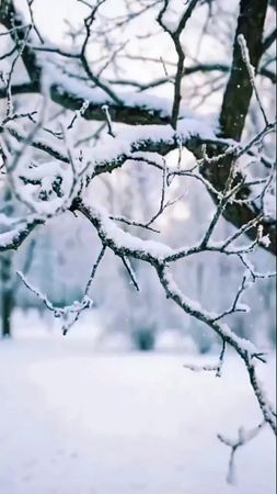 TikTok video #7594153212391755028