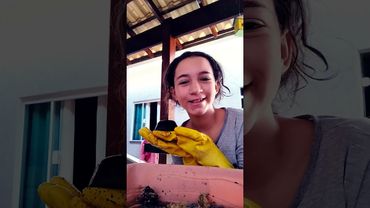 24 de agosto de 2025