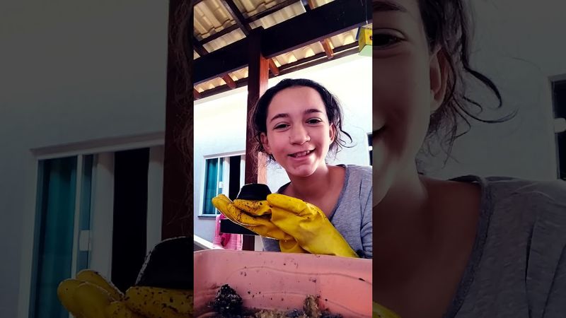 24 de agosto de 2025