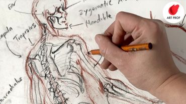 BEST Anatomy Exercise: Drawing a Skeleton inside a Figure