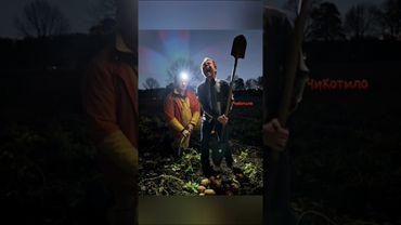 Возвращение Экстрасенса) #НейроКот #Воронцолог #Стрим #Картошка #Сущность