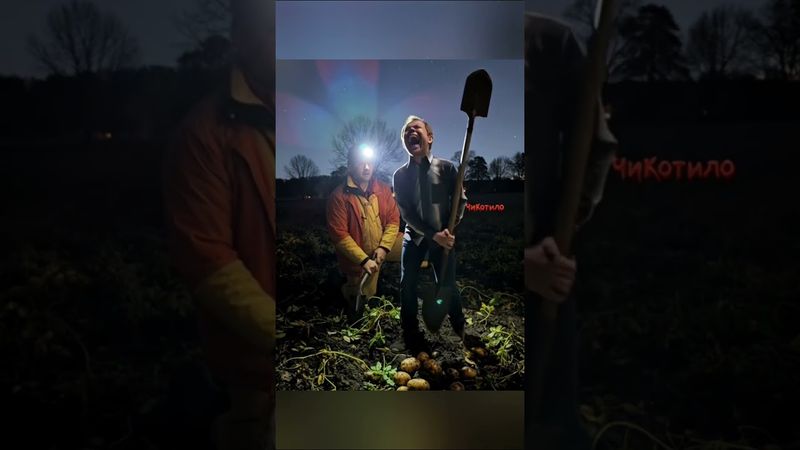 Возвращение Экстрасенса) #НейроКот #Воронцолог #Стрим #Картошка #Сущность