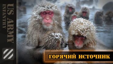 Отпуск в Армии США. Горы Калифорнии и Невады, горячие источники, озеро Тахо и одноэтажная Америка.