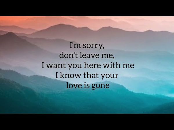 SLANDER_I'm sorry don't leave me i want here with me (lyrics) Love is gone