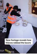 Newly leaked footage from French Authorities reveal how exactly the t...