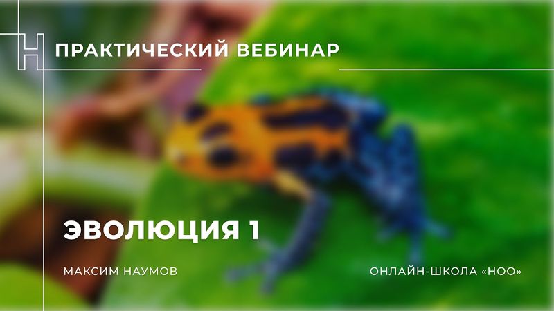 Эволюция 1 - 31.05