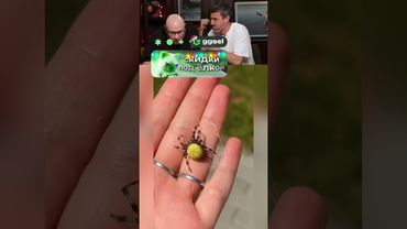 ЗАСМЕЯЛСЯ-ПОДПИСАЛСЯ Ч.057😅СМЕШНЫЕ КОММЕНТЫ!