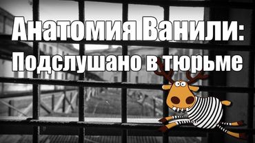 Анатомия Ванили: Подслушано в Тюрьме (18+)