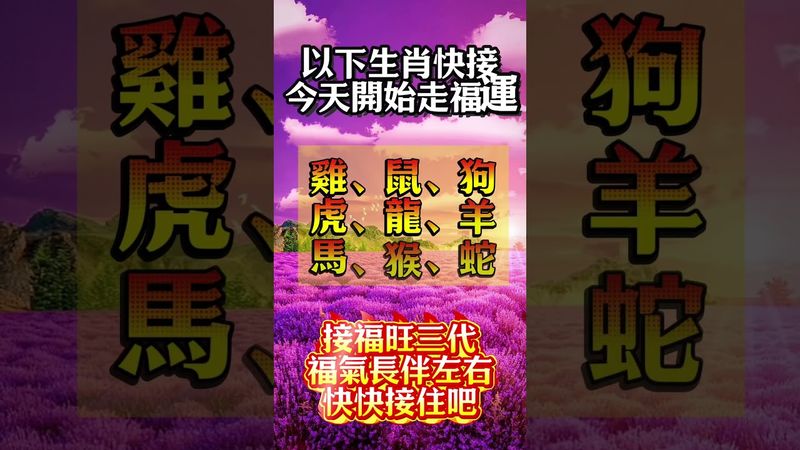 以下生肖快接，今天開始走福運！#生肖  #運勢  #玄學 #風水