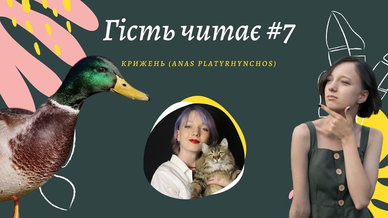 Крижень (Anas platyrhynchos) - відома качка яка дивує.  Гість читає #7 (feat @ideyaolexandrivna )