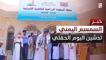 مأرب.. تدشين اليوم الحقلي لمحصول السمسم بالإعلان عن أصناف محسنة