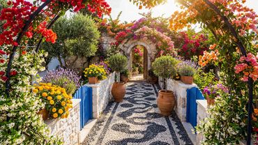 Tranquil Garden Escape - Explore Serene Landscapes for Relaxation, Relaxing Garden Tour 🍃