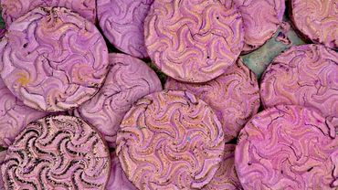 Purple Gym Chalk Reforms Mini Mass Water with Gym Chalk Chunks Crush