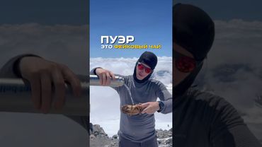 Пуэр - это фейковый чай😱😳. #чай #пуэр #шупуэр #чайныйпьяница #чайный #чайнаяцеремония #чайная