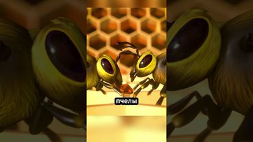 Секрет изготовления меда пчелами! 🐝🤮🍯 #факты