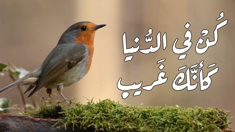 كن في الدنيا كأنك غريب - الشيخ خالد الراشد