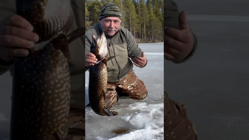 Все таки достал #рыбалка #youtubeshorts #fishing #карелия #рыбалкавидео