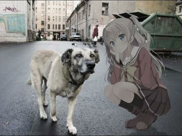 Boulevard Depo - Plenka Nightmare x White Trash  Slowed