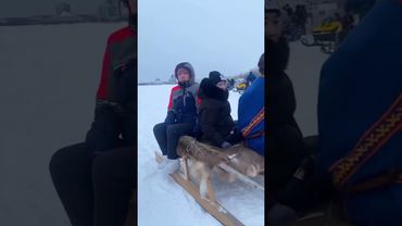 Праздник день оленевода #Ямал #арктика