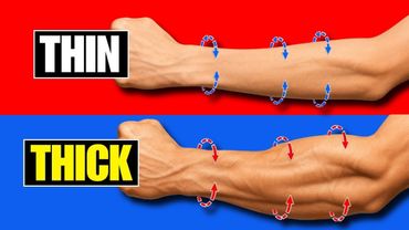 Hanya 2 LATIHAN untuk mendapatkan LENGAN BAWAH yang luar biasa besar!