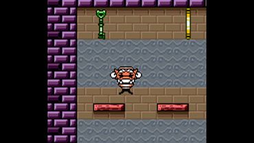 Wario Land 3: Part 78: Castle of Illusions (Green Chest)