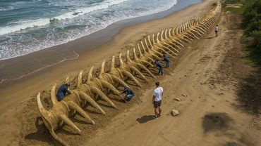 Отодвиньтесь, Мегалодон - Ученые нашли что-то большее