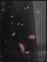 wa tuizu man Tasha❤️‍🩹 wa tuzilu mantasha❤️#CapCut #islamicqueen151  #😩😫🫶🏻 