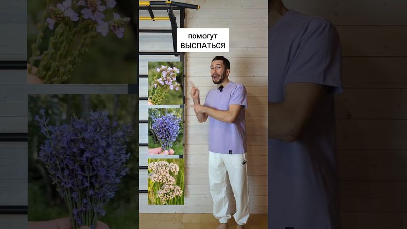 3 травы помогут выспаться #травы #лекарственныерастения #здоровьебезлекарств