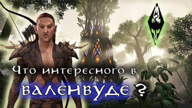 Что интересного в ВАЛЕНВУДЕ ? Босмеры-каннибалы и многое другое | TES Лор