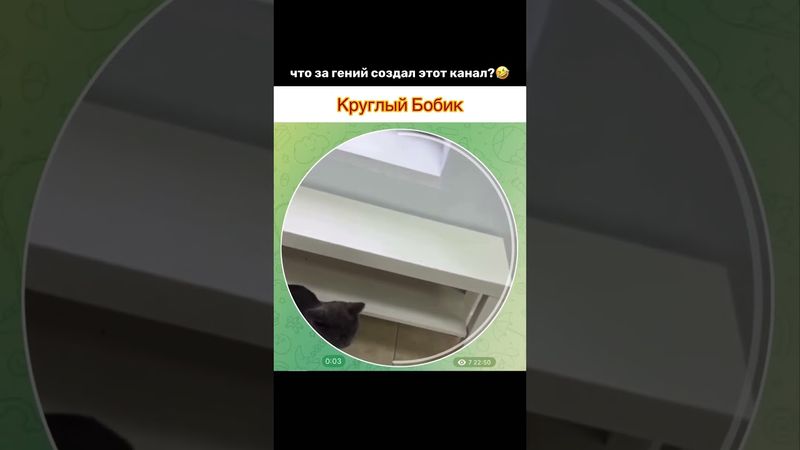 #угарныевидосы #прикол #ржака #рекомендации