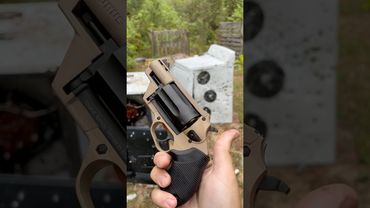 Taurus judge .410/45lc