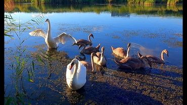 #Славянск. 19 августа 2025г. Вчер.