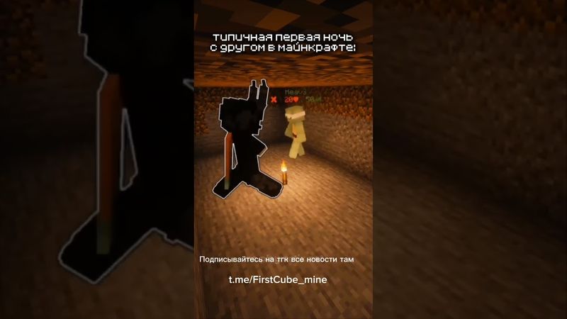 ты с другом в 1 ночь #minecraft #майнкрафт #мемас #mc #мем #shorts #гриф #gamegrief #reallyworld #mc