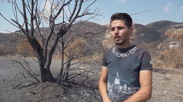 В Сирии лесные пожары рушат жизнь фермеров