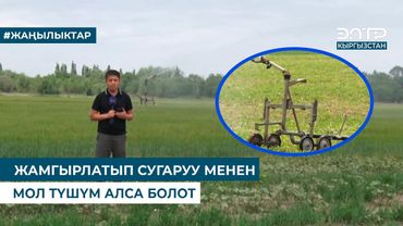 ЖАМГЫРЛАТЫП СУГАРУУ МЕНЕН МОЛ ТҮШҮМ АЛСА БОЛОТ