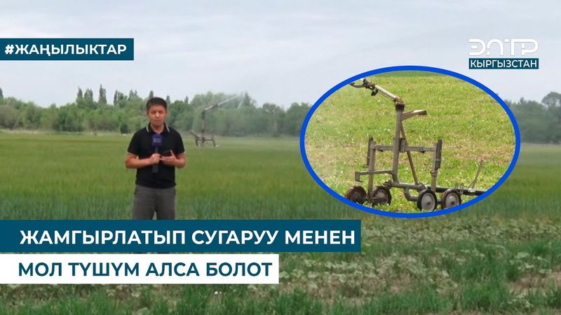 ЖАМГЫРЛАТЫП СУГАРУУ МЕНЕН МОЛ ТҮШҮМ АЛСА БОЛОТ