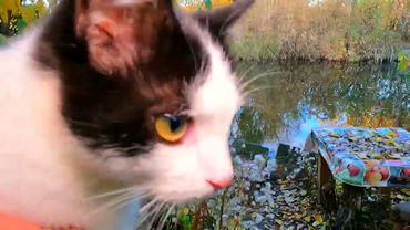 #Славянск. 30 октября 2025г. Вечер. Ужасный обстрел...