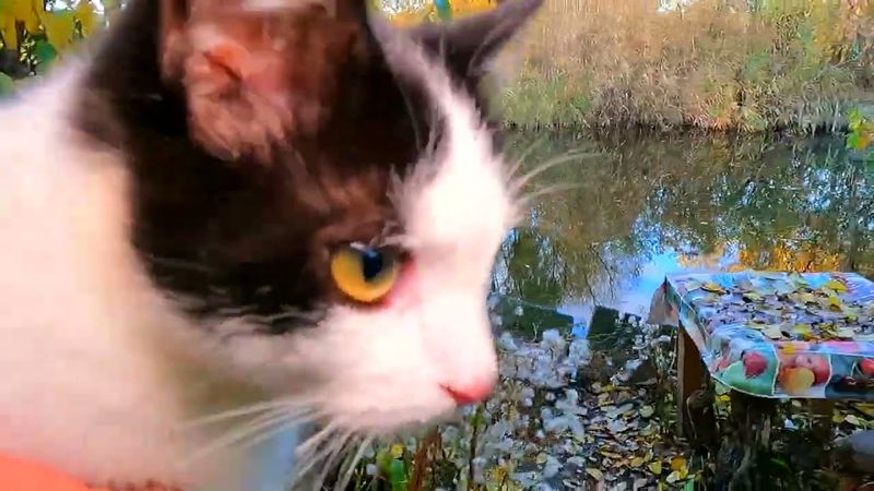 #Славянск. 30 октября 2025г. Вечер. Ужасный обстрел...