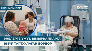 ЭНЕЛЕРГЕ ҮМҮТ, ЫМЫРКАЙЛАРГА ӨМҮР ТАРТУУЛАГАН БОРБОР