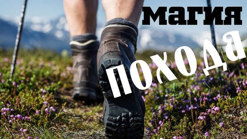 Поход по магическим болотам!