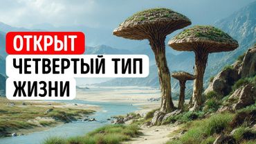 Древние формы жизни, которые не вписываются в древо жизни