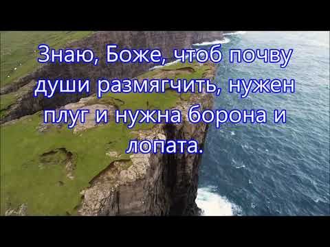 Из размякшей земли легче вырвать бурьян