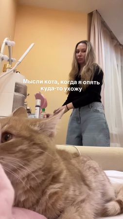 #мысликота 